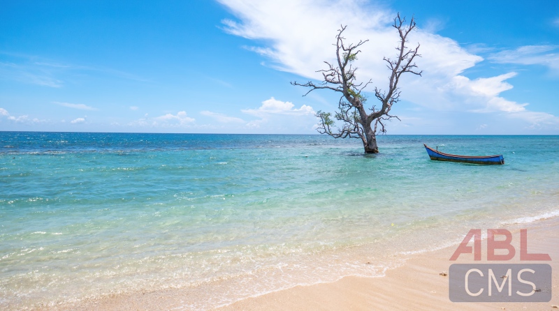 Lorem ipsum dolor sit amet consectetur - 7