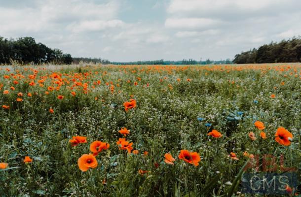 Lorem ipsum dolor sit amet consectetur - 11