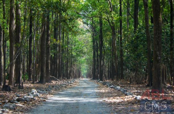 Lorem ipsum dolor sit amet consectetur - 7